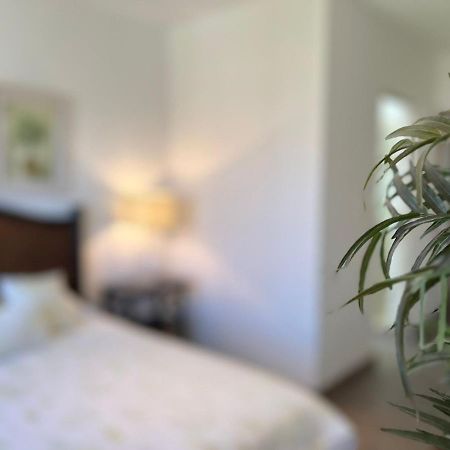 サン・ミゲル・デ・アジェンデ Casas Vacacionales El Deseo By Picsa Administracionヴィラ エクステリア 写真