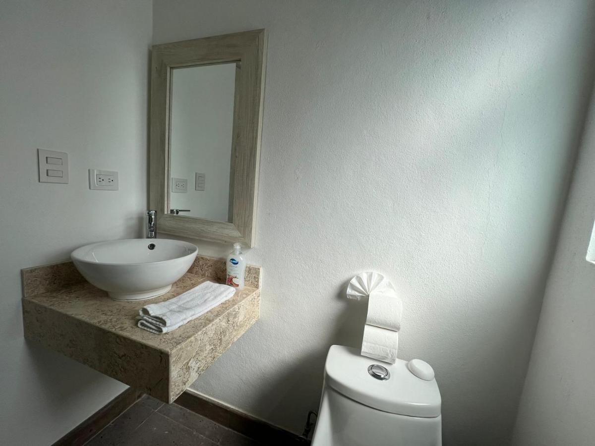 サン・ミゲル・デ・アジェンデ Casas Vacacionales El Deseo By Picsa Administracionヴィラ エクステリア 写真